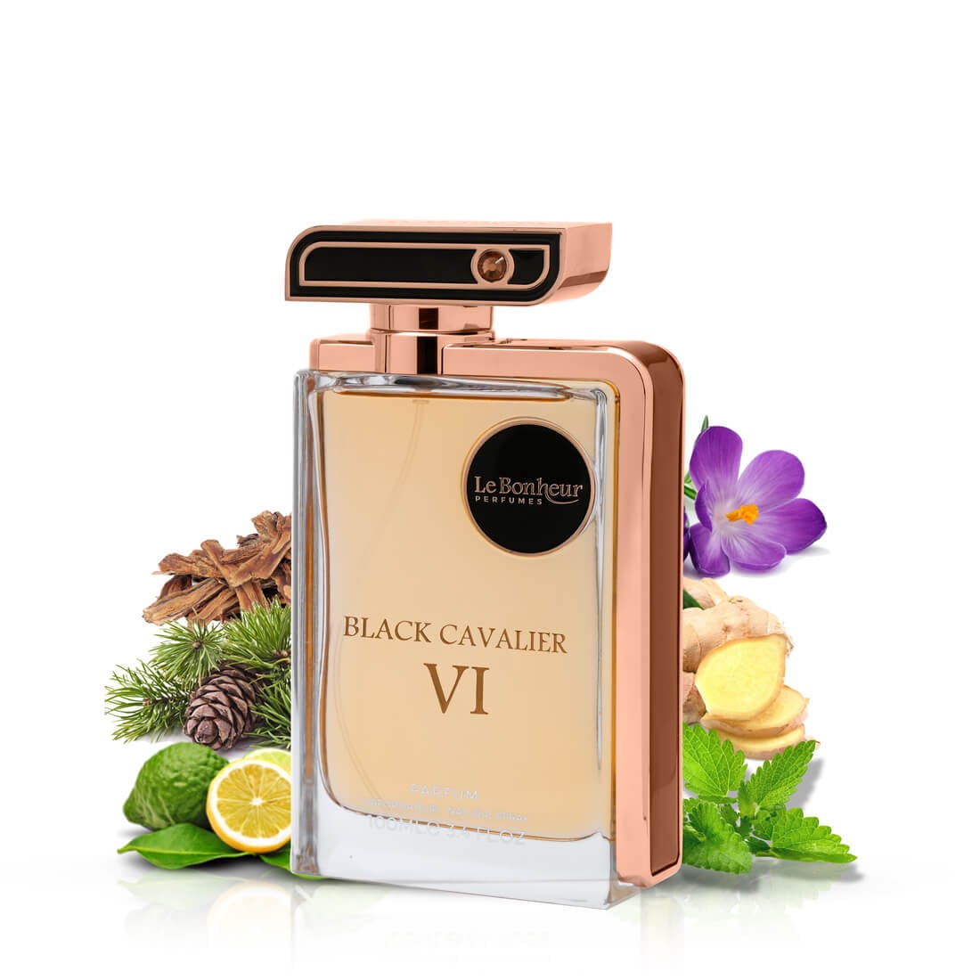 Le Bonheur Black Cavalier VI - 100ML EDP