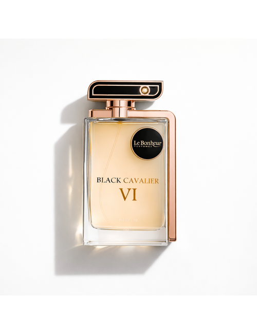 Le Bonheur Black Cavalier VI - 100ML EDP